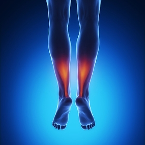 Where Is the Achilles Tendon Located?